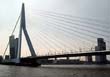 Bild 37: Rotterdam